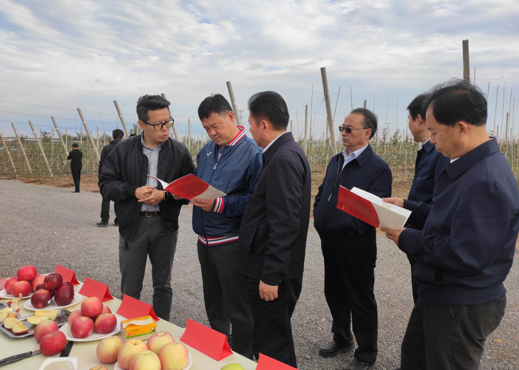 1570536785863989.jpeg 2.jpg