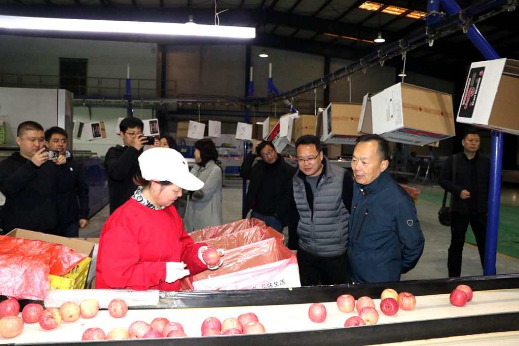 1575420942896923.jpeg 2.JPG