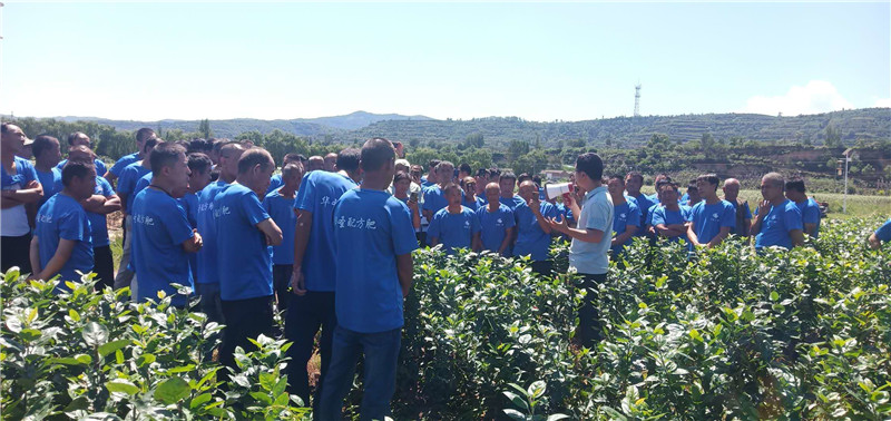 1599107712110818.jpeg 5.jpg