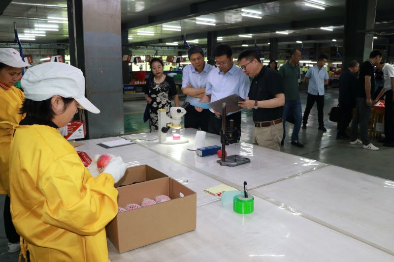 1622193229152946.jpeg 2 (1).JPG