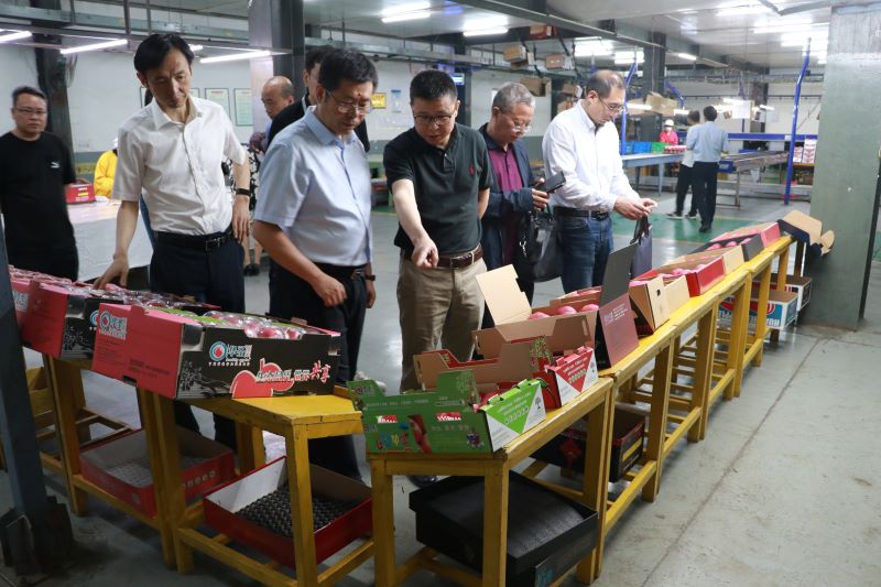 1622193265747603.jpeg 3 (1).JPG