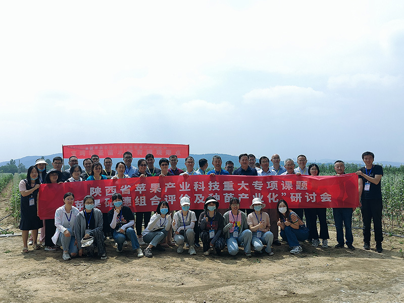 1659412458545069.jpeg 1.jpg