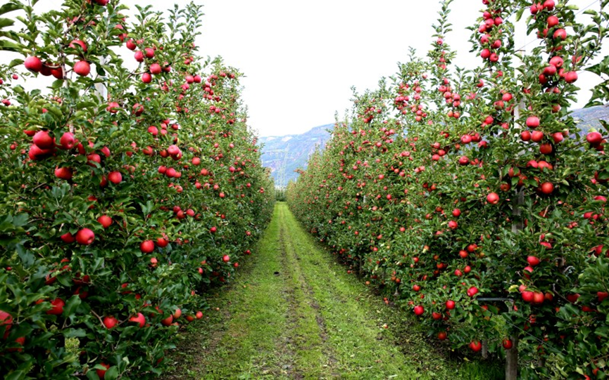 1685412065375969.png image001.png