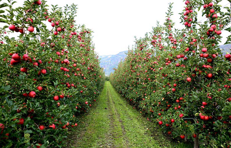 1691244001123805.png image005.png