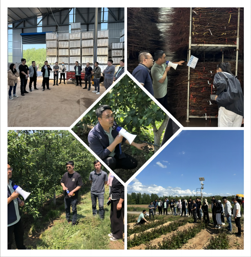 1715563785861229.png 7.png