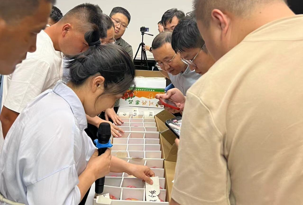 1719815507378166.jpeg 5.jpg