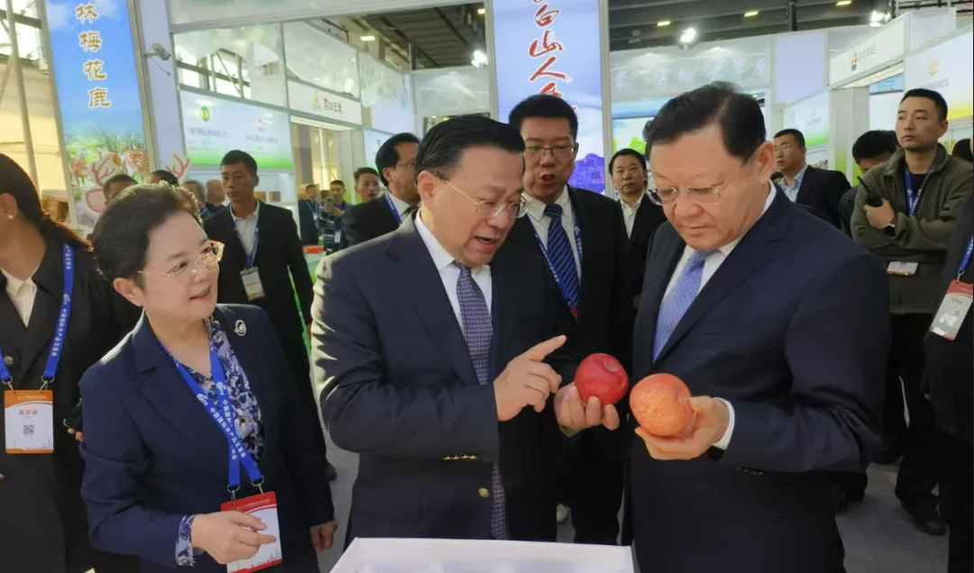 1732891100767909.png 01.png